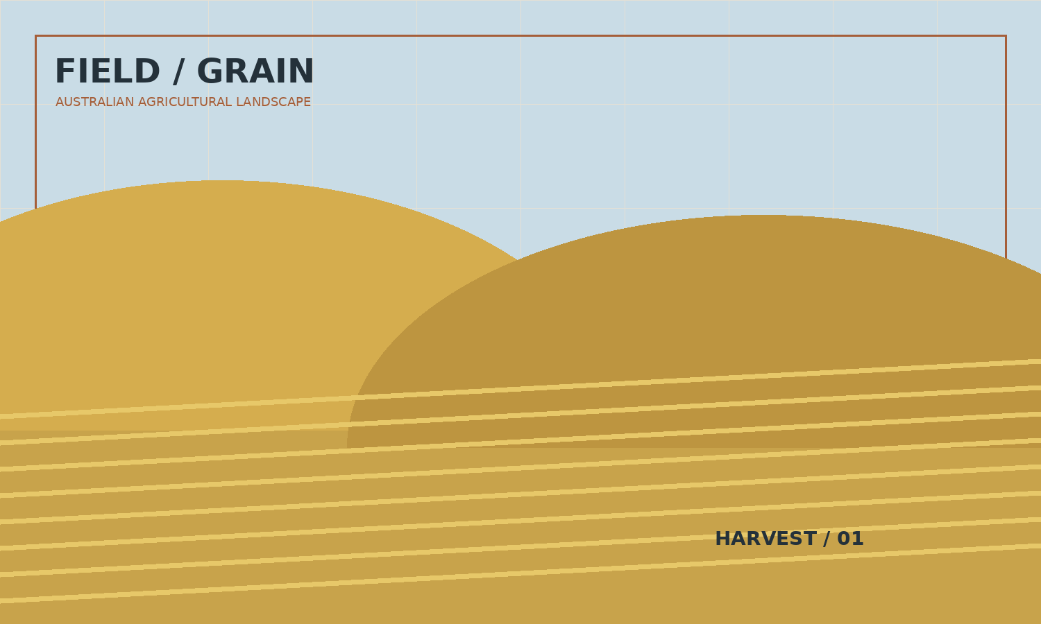 Golden grain field stretching across a broad agricultural landscape